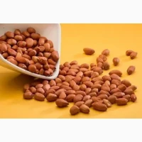 Продам арахіс болд 50-60, сирий, смажений, зі смаками мождиво з ПДВ