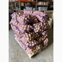 Продам картоплю