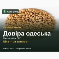 Пшениця Довіра одеська - насіння озимої пшениці (СГІ, Одеса), еліта, РН-1