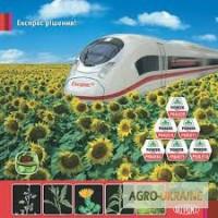 Экспресс 75% купить, Экспресс 75% продажа, Экспресс 75% купить, Express Sun, Экспресс цена