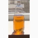 Продаем дизельное топливо Евро 3-5
