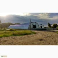 Бескаркасные Анагры