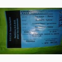 Продам семена кукурузы ДКС 5276