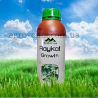 Райкат Рост