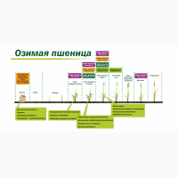 Микроудобрение КДМПР «Мальхам» марки Комплекс