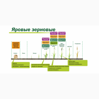Микроудобрение КДМПР «Мальхам» марки Комплекс