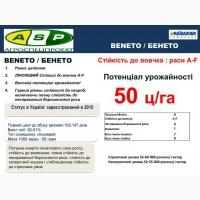 Семена подсолнечника Бенето (Майсадур)