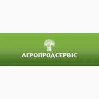 Пропонуємо насіння кінських бобів сорту Фанфаре, 1 репрод