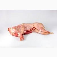 Продам тушку домашнього кролика