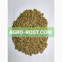 Чечевица зеленая сочевиця чечевиця