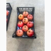Продам гранат турецкий