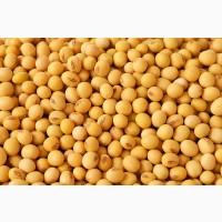 Продам соя ГМО НЕ ГМО FOB Odessa