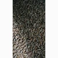 Продамо жито з доставкою