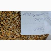 Продамо горох битий н/шлиф