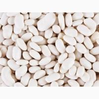 Сортова квасоля гуртом. В асортименті більше 20 сортів