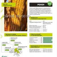 Насіння кукурудзи РОНІН ФАО 330