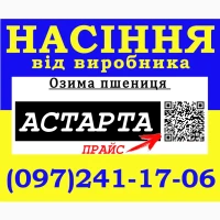 Озима пшениця Астарта, Богдана, Подолянка, Мальованка (еліта) 2026. Насіння від виробника