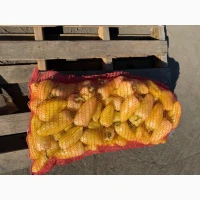 Продам перець білозерка