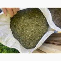 Продам кропиву, цьогорічна