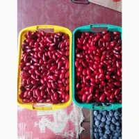 Продам кизил