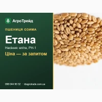 Купити насіння пшениці Етана - еліта, РН-1, документи