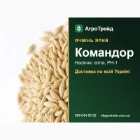 Командор - ярий ячмінь, насіння еліта, РН-1 з документами