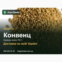 Сортове насіння люцерни Конвенц