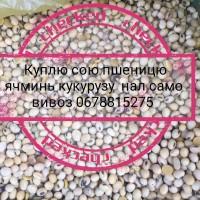 Куплю рипак соняшник ячминь кукурудза