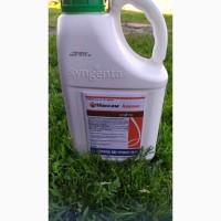 Максим Адванс