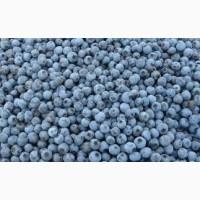 Реалізуємо заморожену чорницю оптом від 5 т