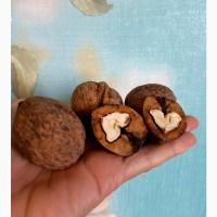 Продам грецкий орех в скорлупе