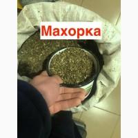 Махорка, не дорога, зелена, свіжа