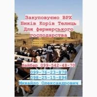 Ферма закуповуемо врх