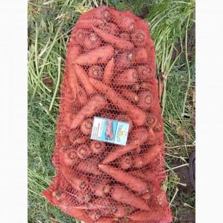 Продам моркву, сорт абако