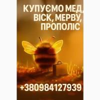 Купуємо мед