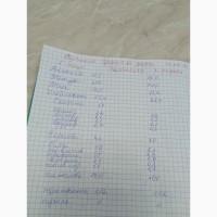Продам пшеницю