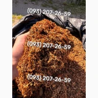 Якість та аромат тютюну Вірджинія, Кемел, Берлі, Гавана, Дюбек, Парламент