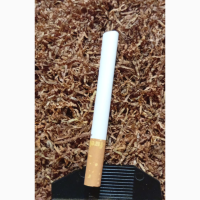 Вирджиния-202