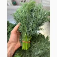 Продам Крiп импорт