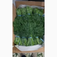 Продам Крiп импорт