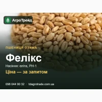 Купити насіння пшениці Фелікс - еліта, РН-1, документи