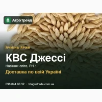 Посівний ячмінь КВС Джессі - насіння еліта, РН-1
