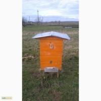 Продам корпусні вулики