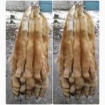 Натуральный мех лисы, шкуры рыжей лисы