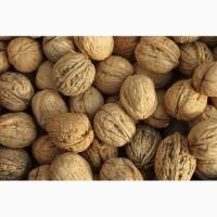 Продам грецкий орех (кругляк)