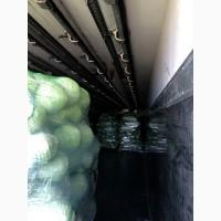 Продам пізню капусту, хорошої якості