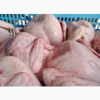 Продам філе з курки охолоджене