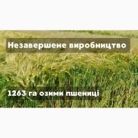 Господарство 1400 га Житомирська область