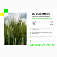 BG Duriamo 2S
