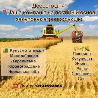 Закупка зернових